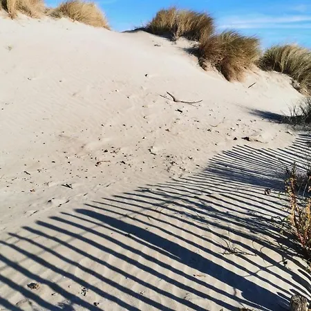 Vue Exceptionnelle *